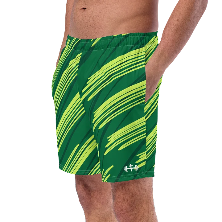 His House Mens Swimsuit - Pure NRG product image (2)