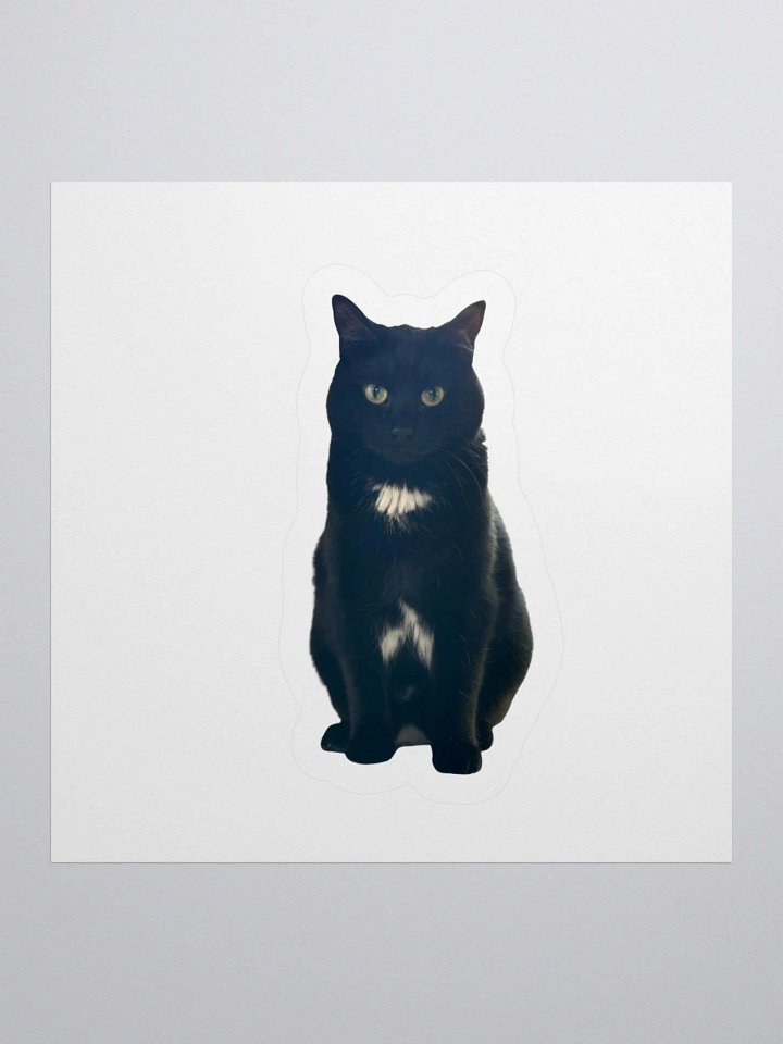 Romeo Sticker product image (1)