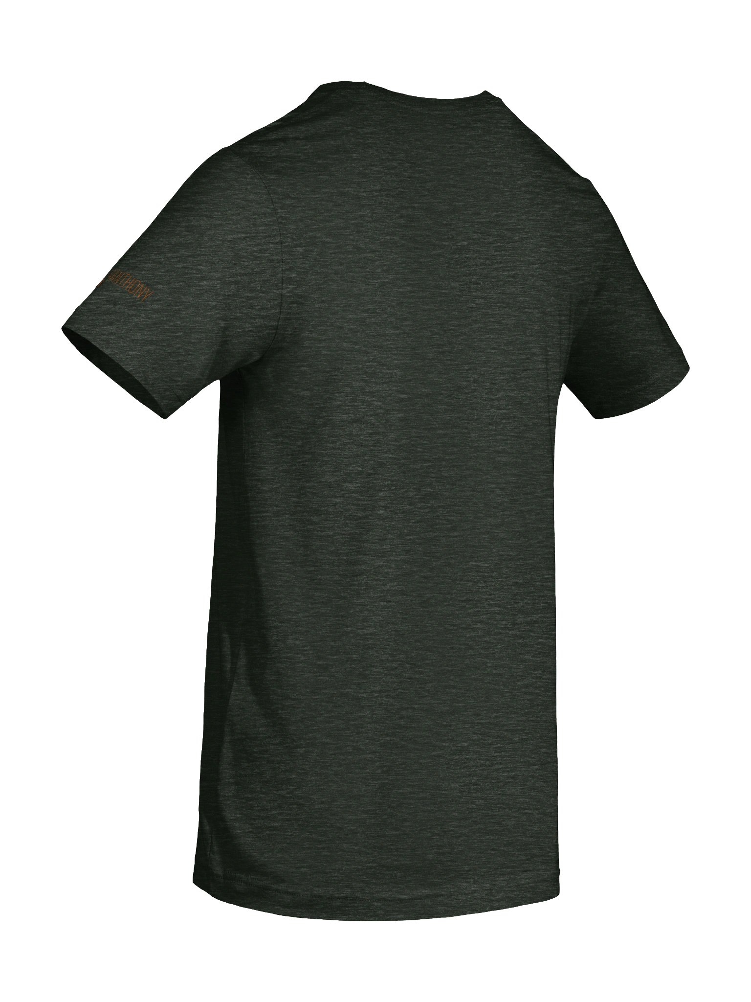 BUCK NORRIS CLASSIC LOGO 2 TEE product image (70)