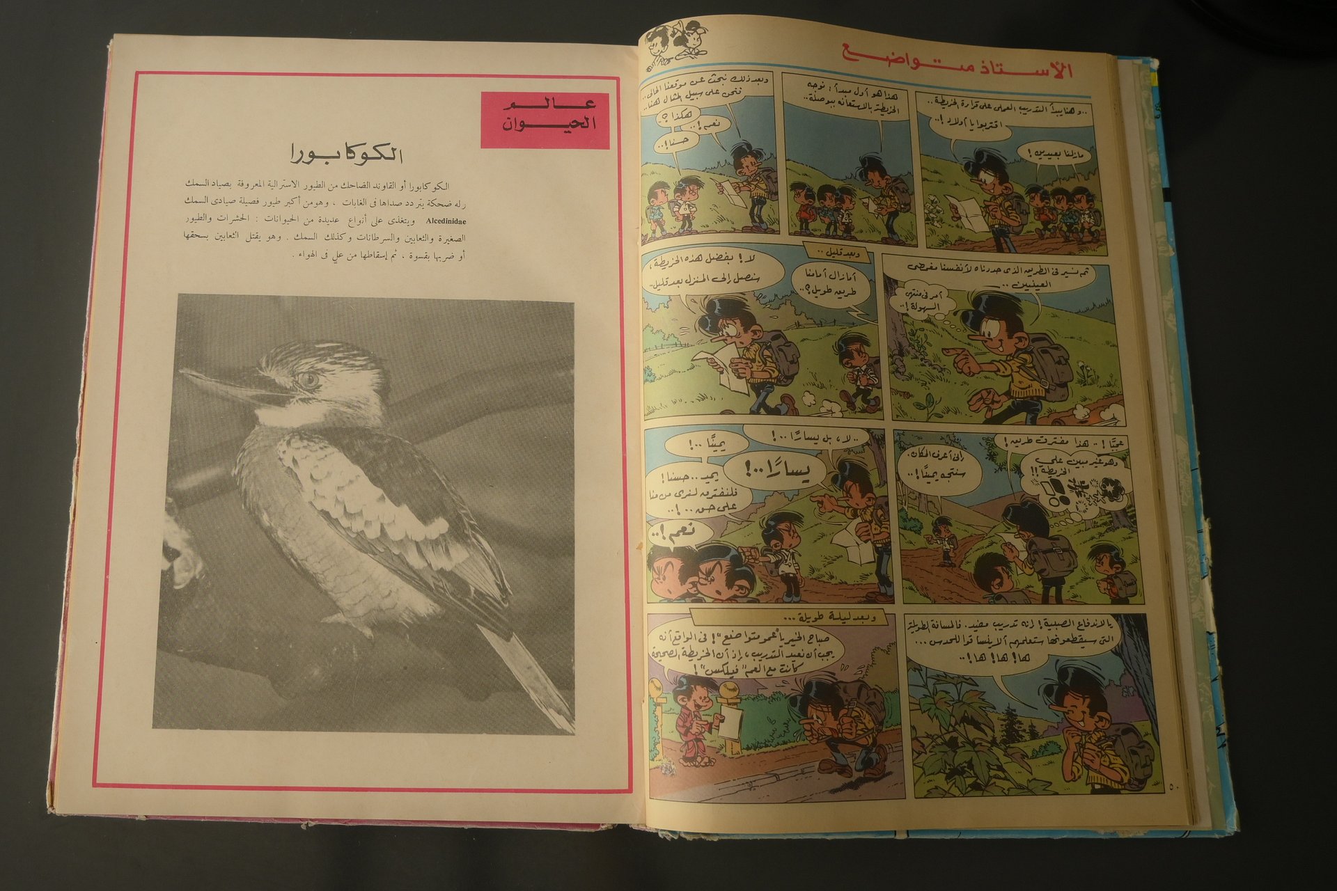 مجلد من مجلدات "تان تان" اصدار 1971 - 1981 product image (4)