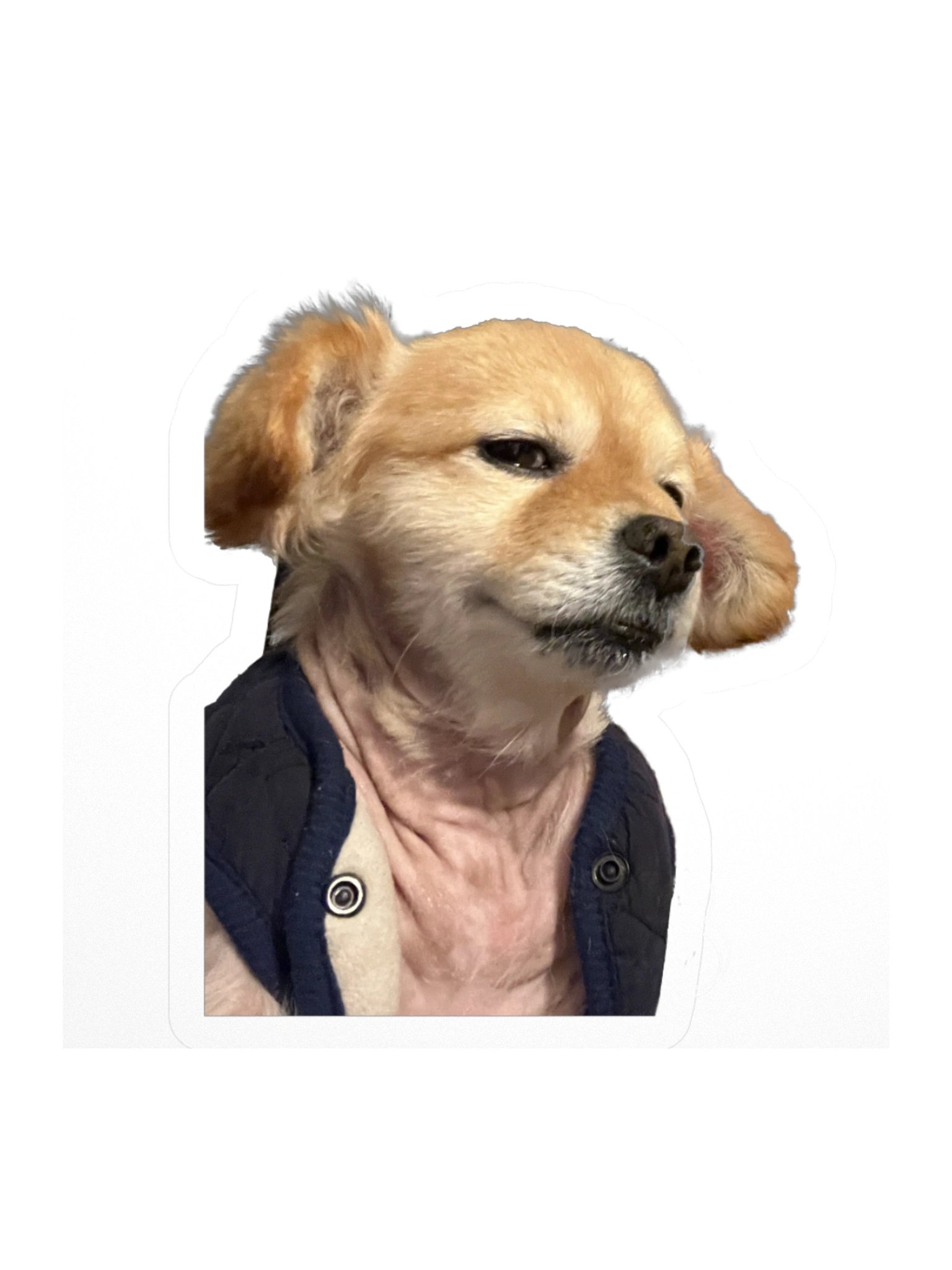 You Sly Dog product image (2)