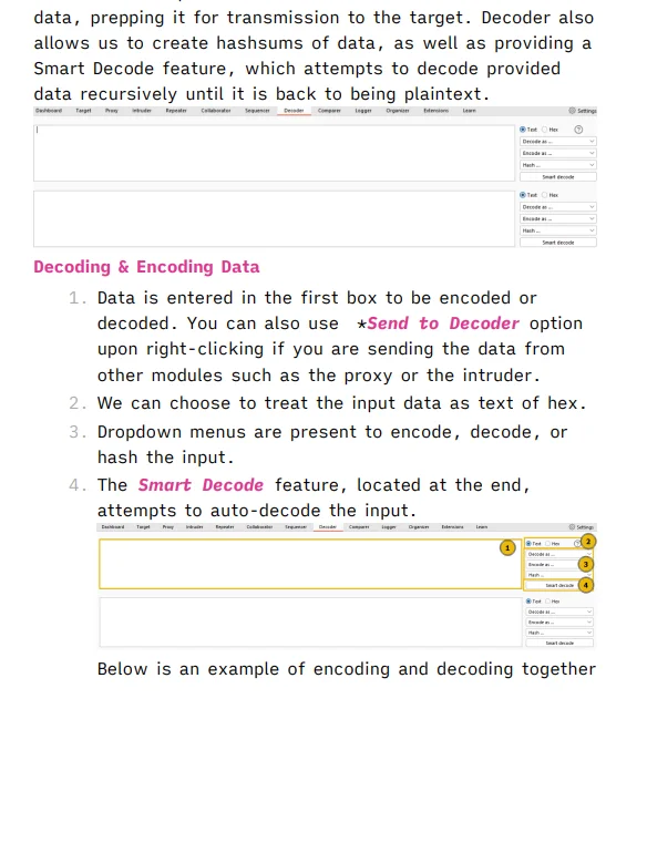 HackTheBox Certified Web Exploitation Specialist (HTB CWES) Study Notes & Guide (Unofficial) product image (3)