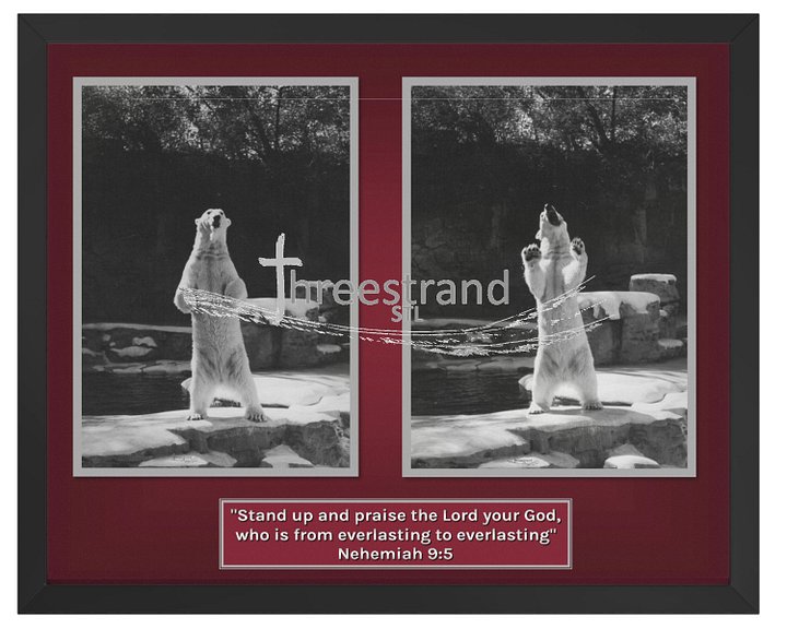 Vibrant Ayous Wood Framed Poster - Stand & Shout product image (1)