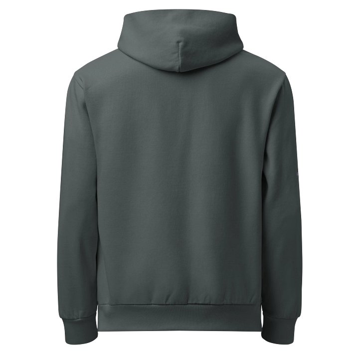Kemetic Collection - Lane Seven Hoodie product image (2)