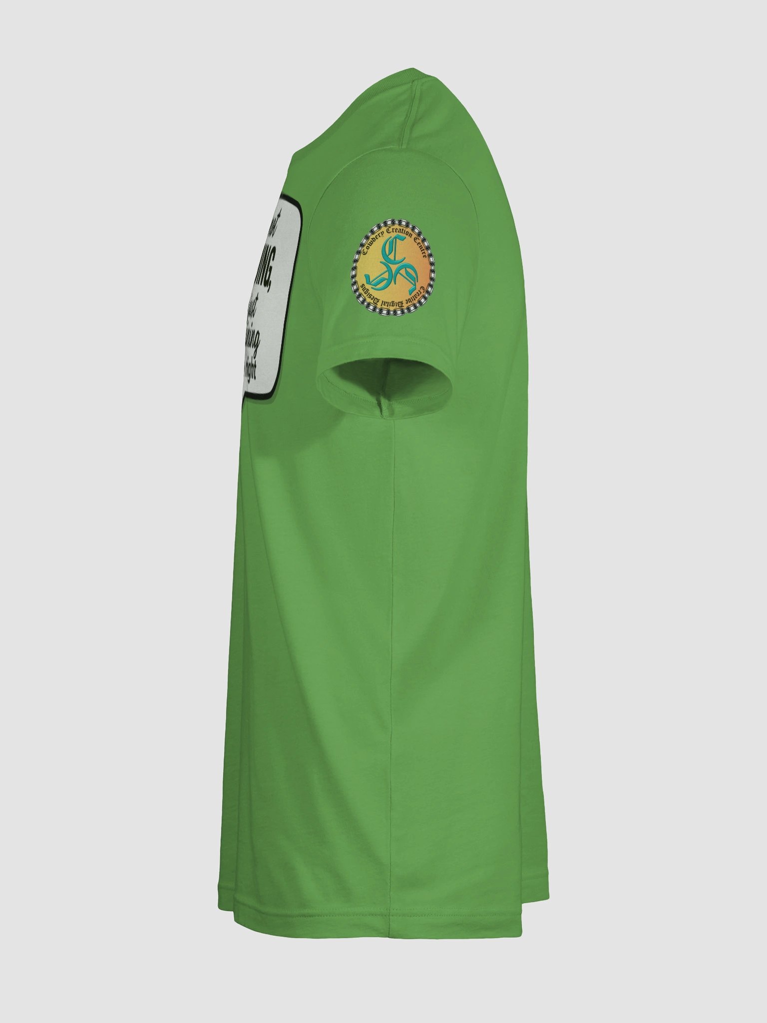 I'm not Arguing (Male) Bella+Canvas Supersoft T-Shirt Colors (4) product image (119)