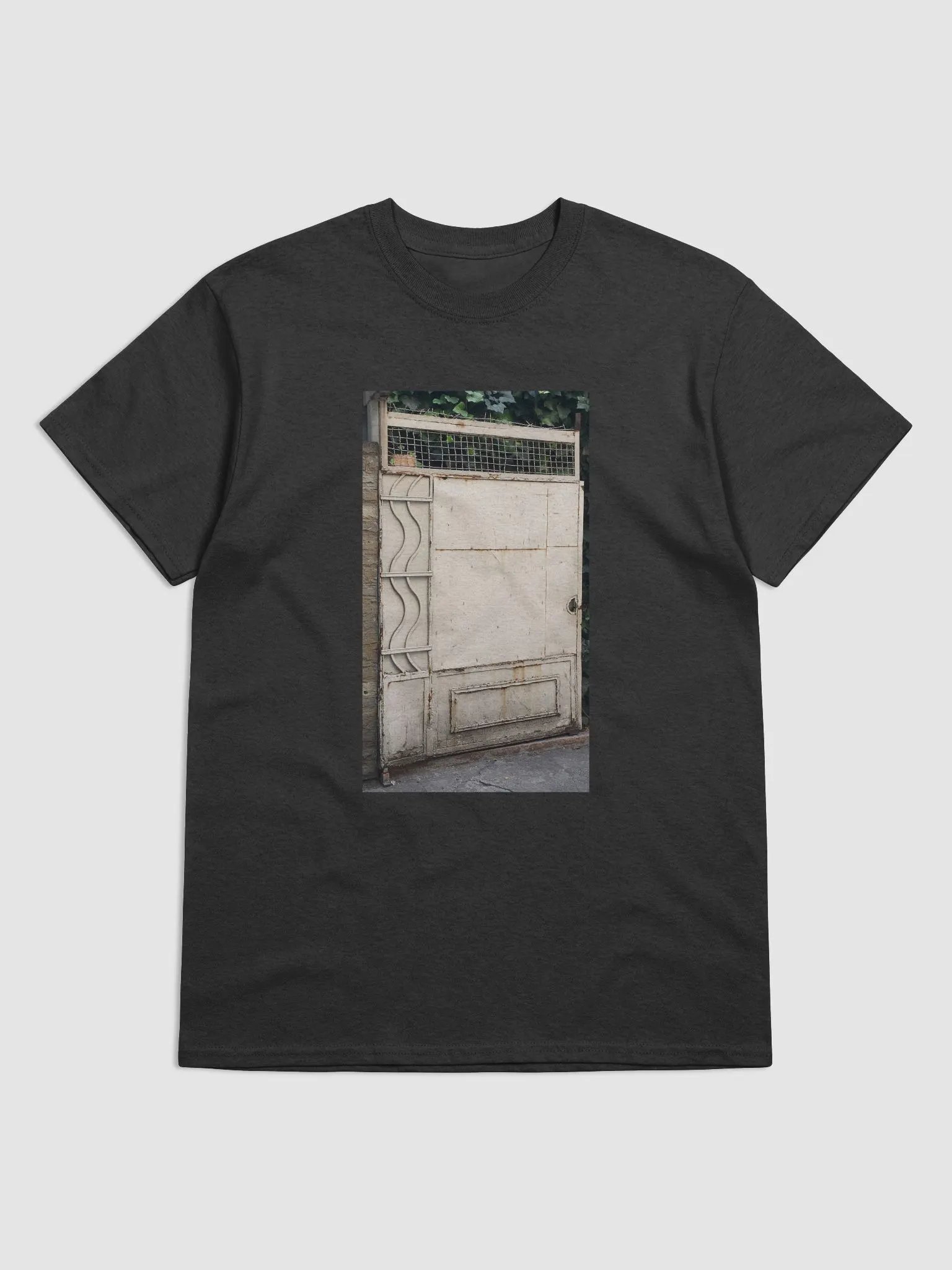 Door product image (1)