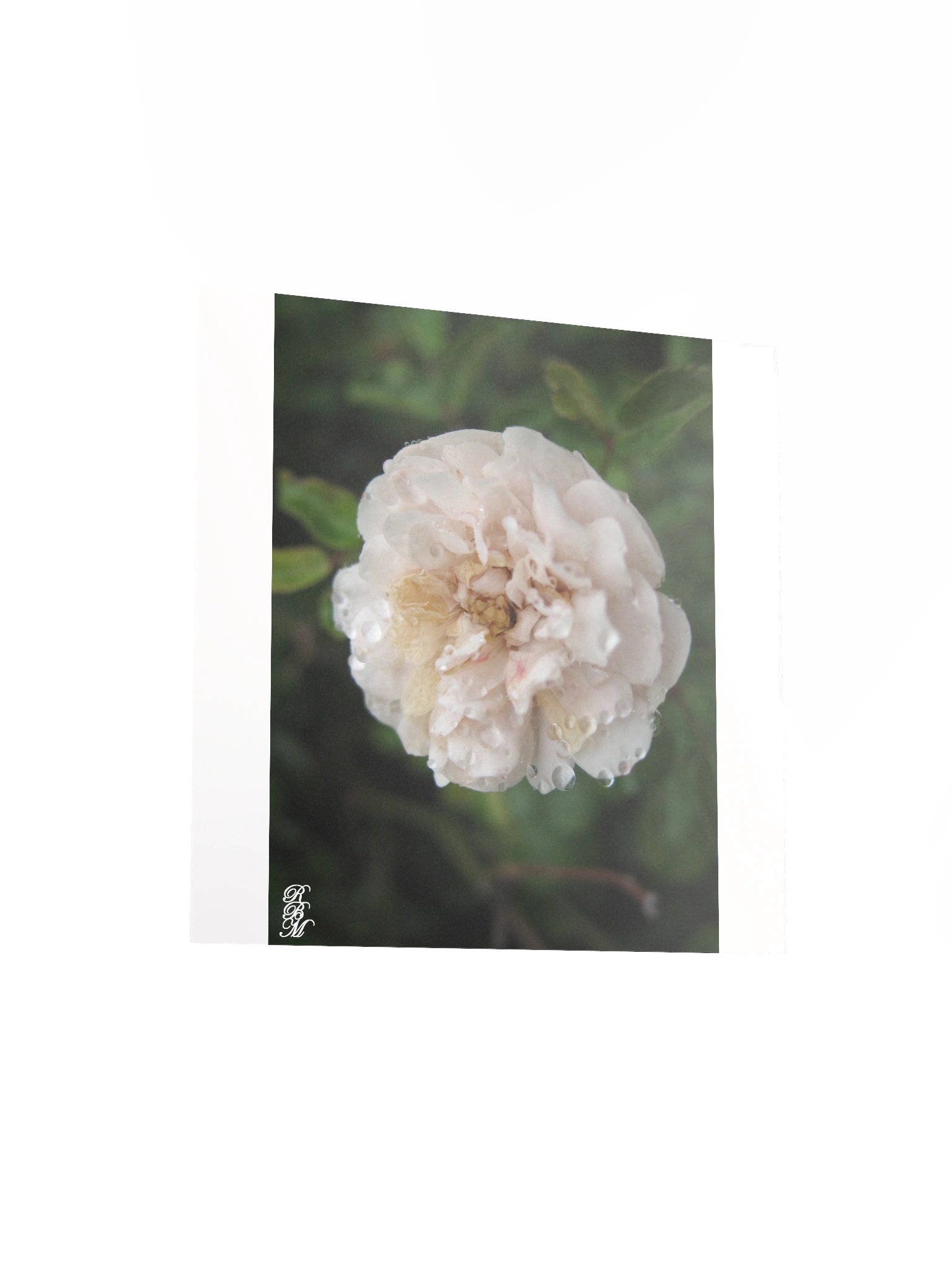 Dew on a Flower product image (11)