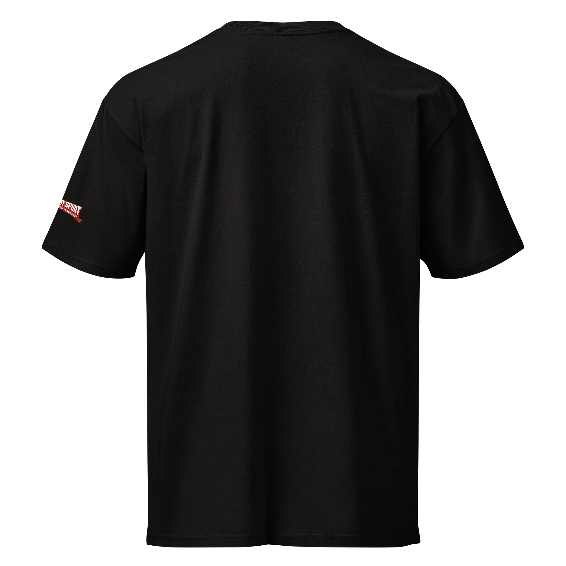 Dyngus Spirit Men's Tee product image (4)