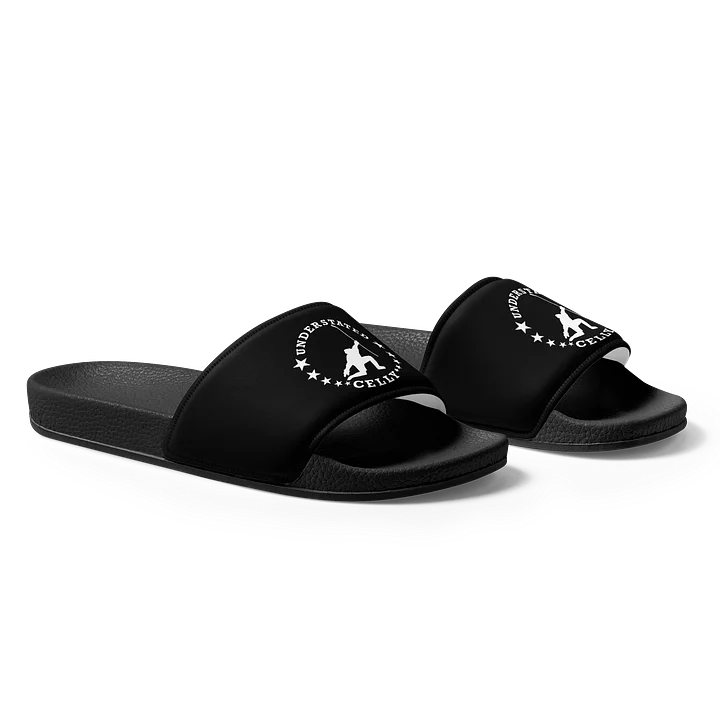 Men's Slides product image (1)