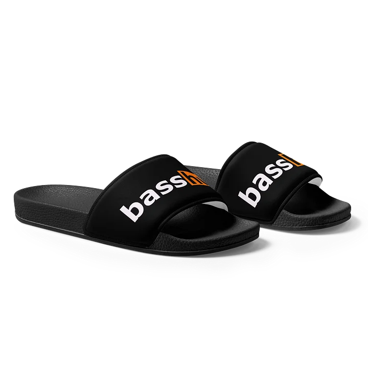 BassHub Slides product image (1)