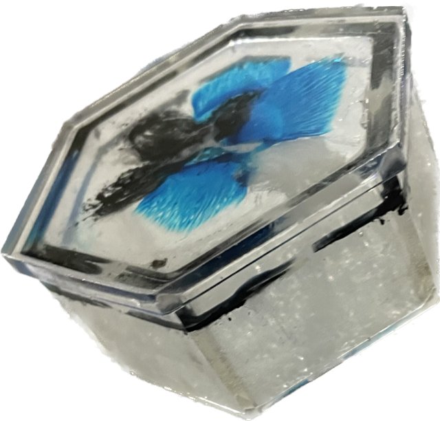 Mini Jewelry Box product image (3)