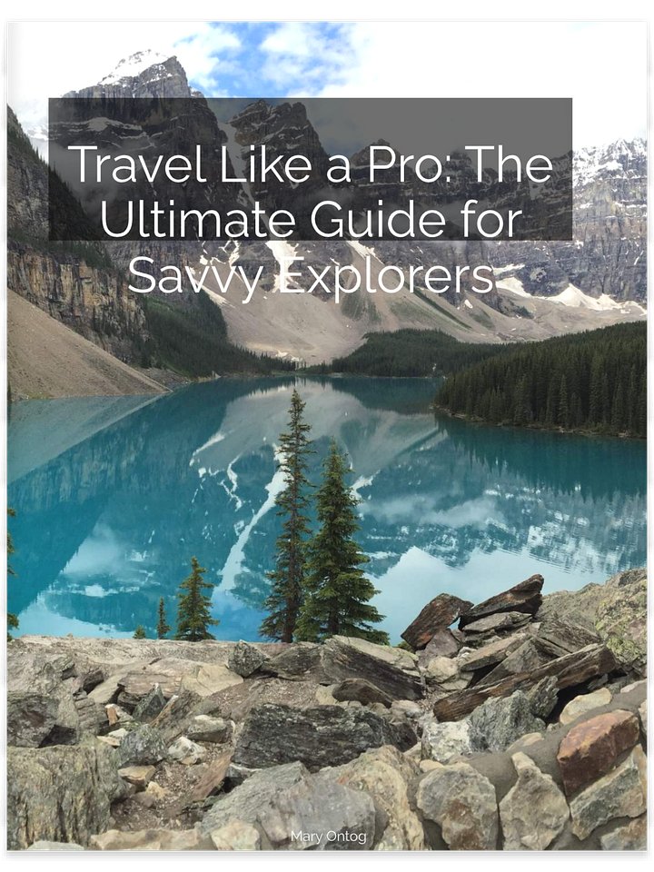 Travel Like a Pro: The Ultimate Guide for Savvy Explorers product image (1)
