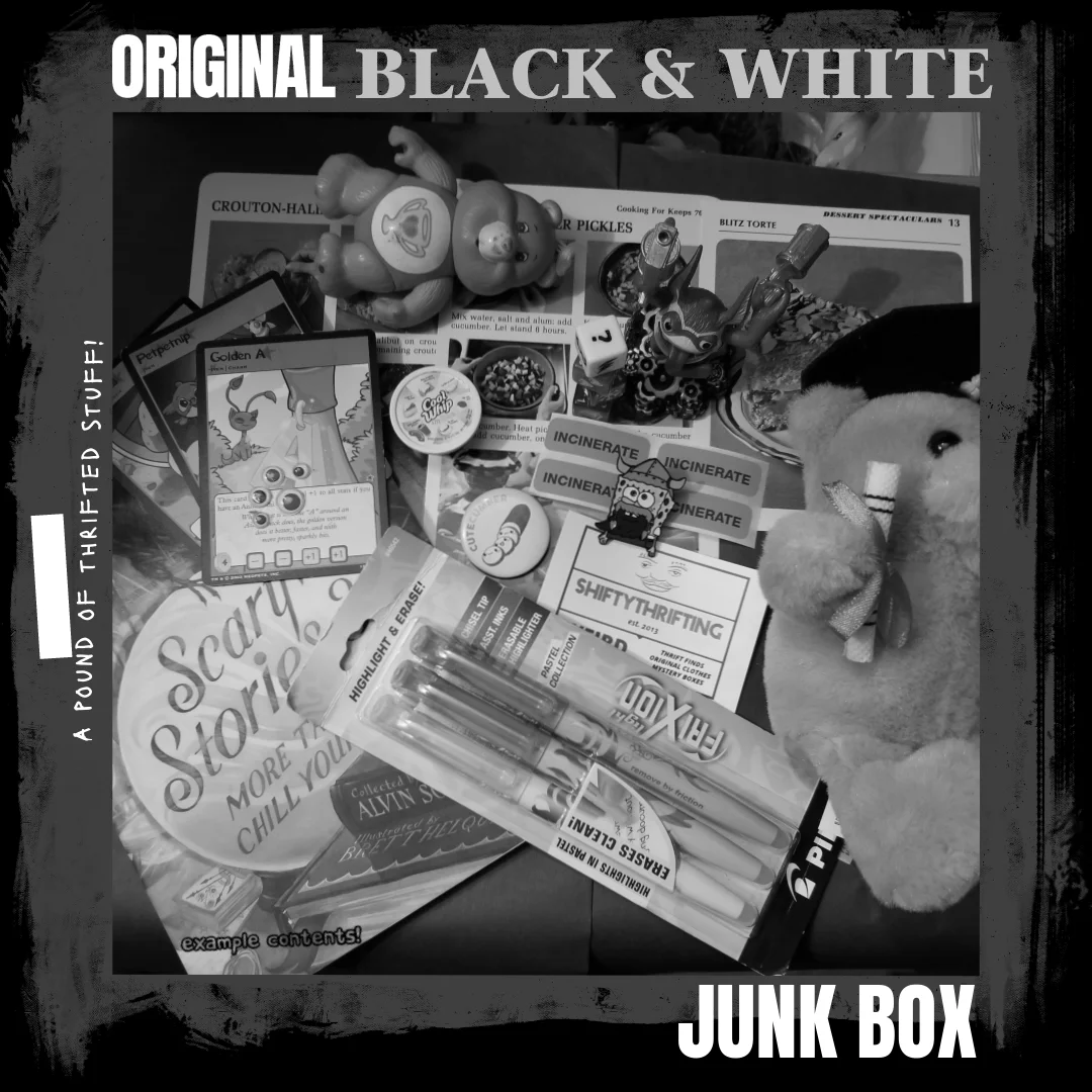 Black & White ShiftyThrifting Junk Box product image (1)