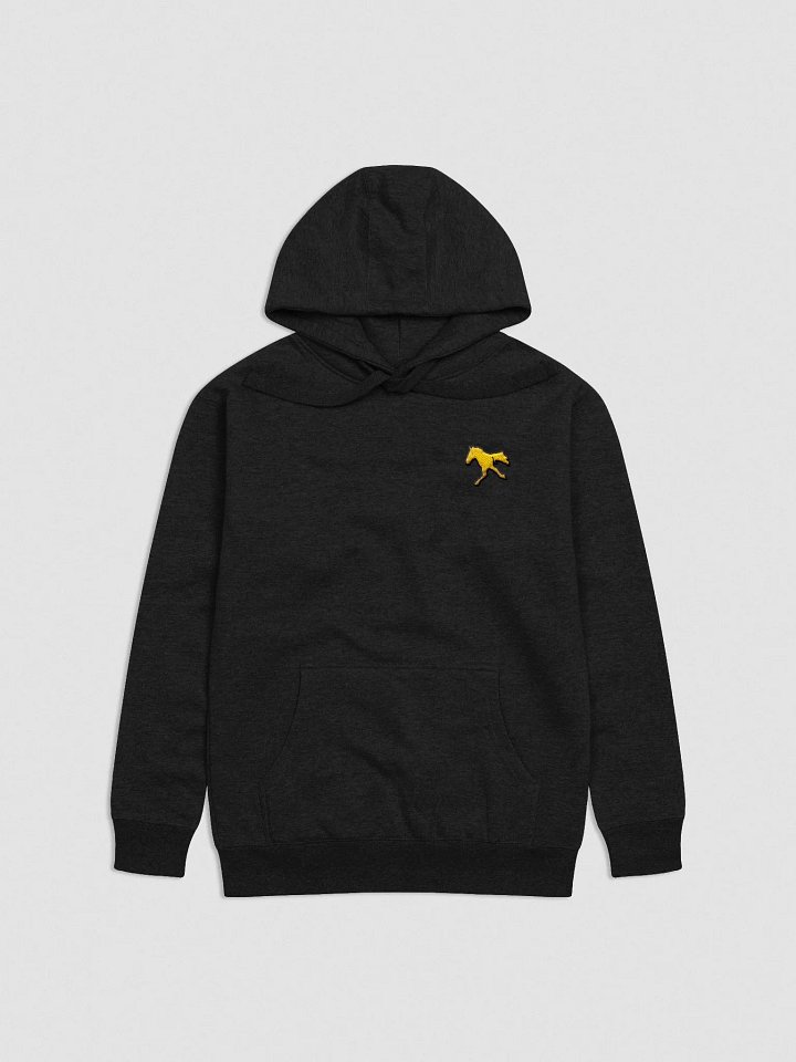 The Horse Run Monthly - Embroidered Hoodie product image (1)