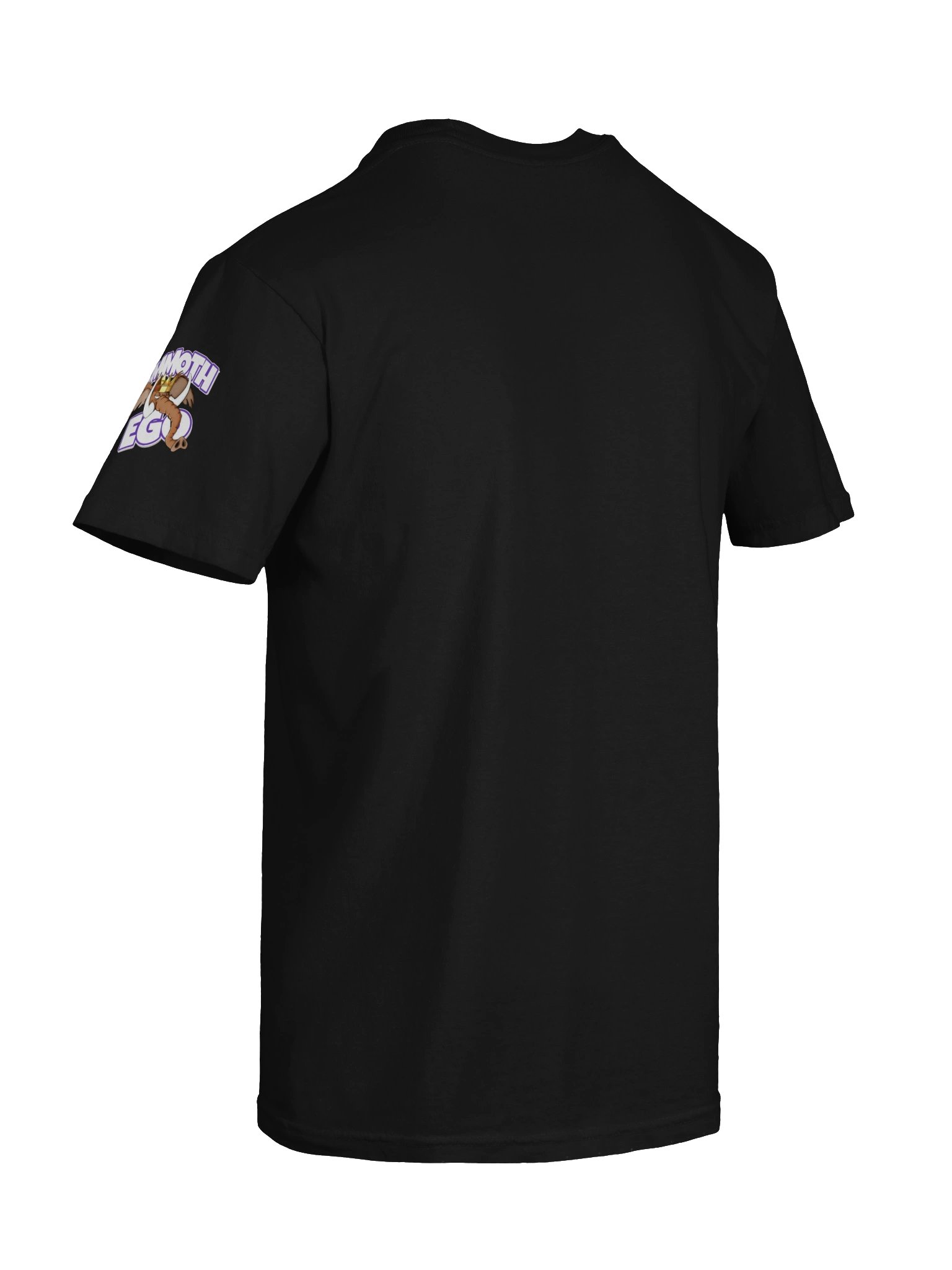 (not) A Role Model Tee product image (46)
