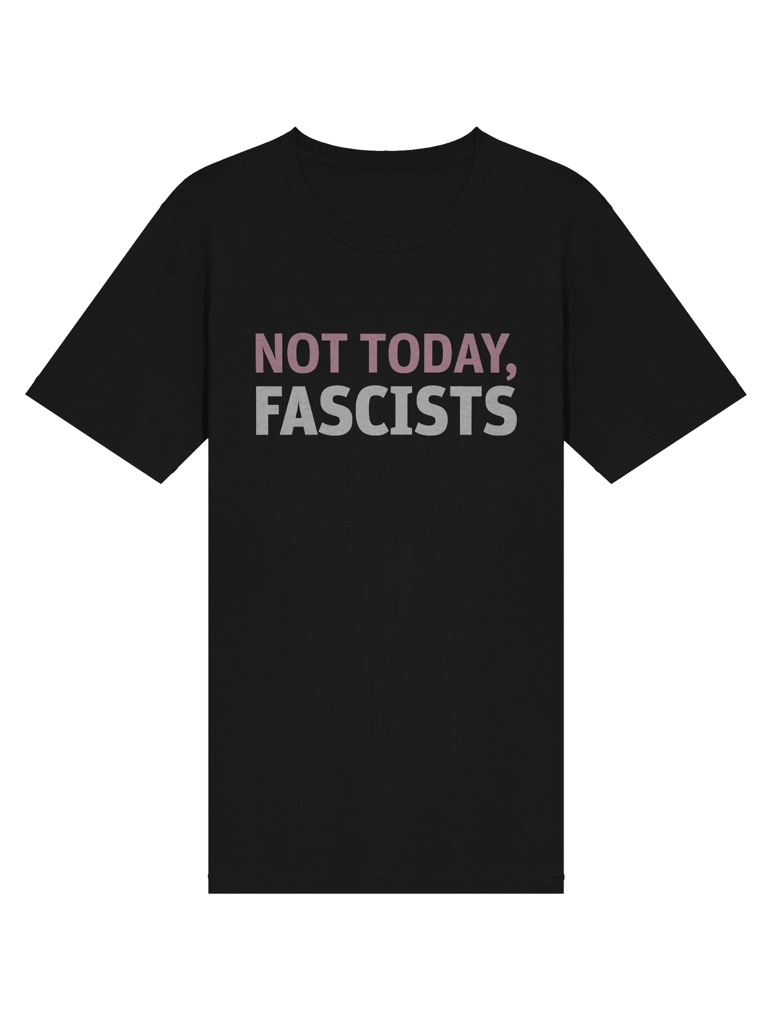 Not Today, Fascists Unisex T-Shirt product image (3)