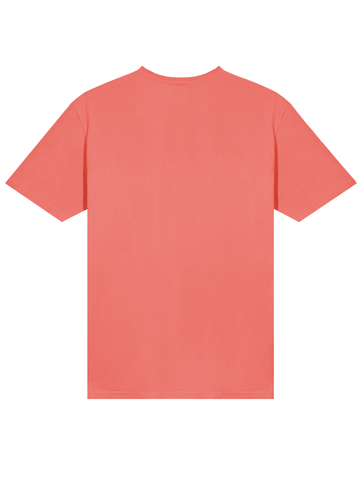 Frog and Toad Ice Cream T-Shirt product image (6)