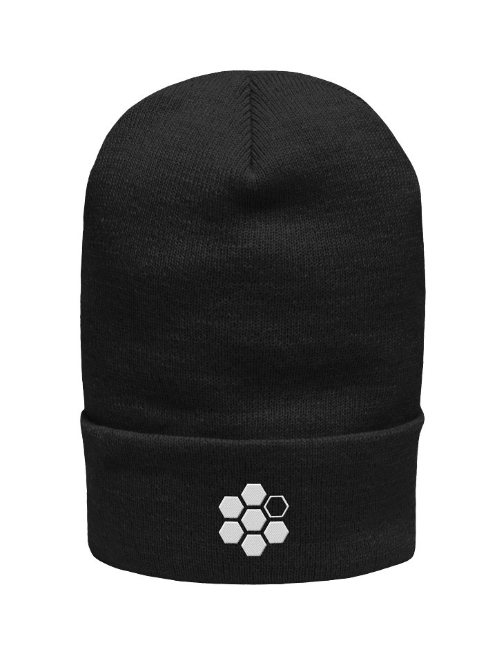Disclosure Foundation Cuffed Beanie - Black product image (1)