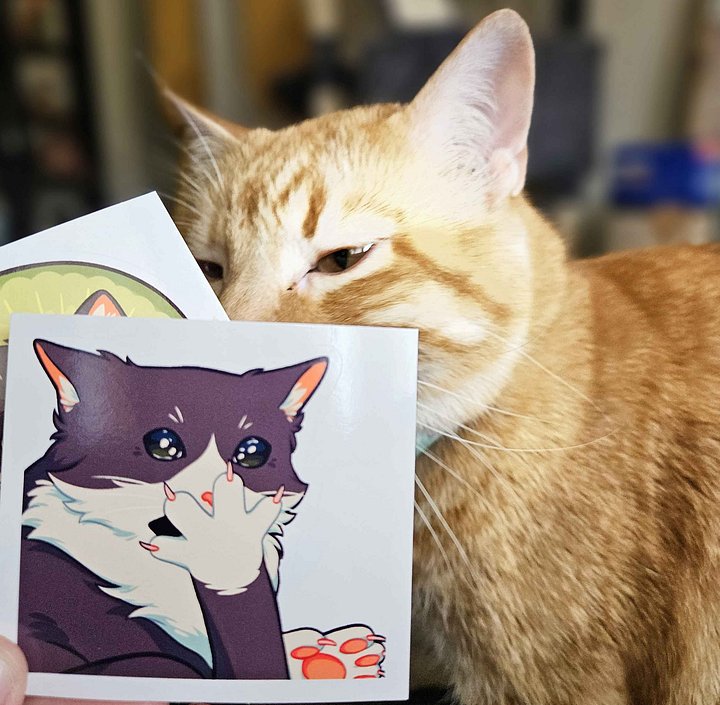 OMG Kiwi Sticker product image (2)