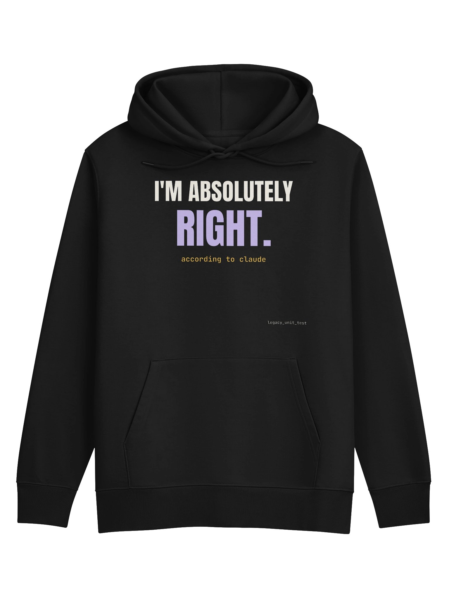 I'm absolutely right hoodie product image (1)