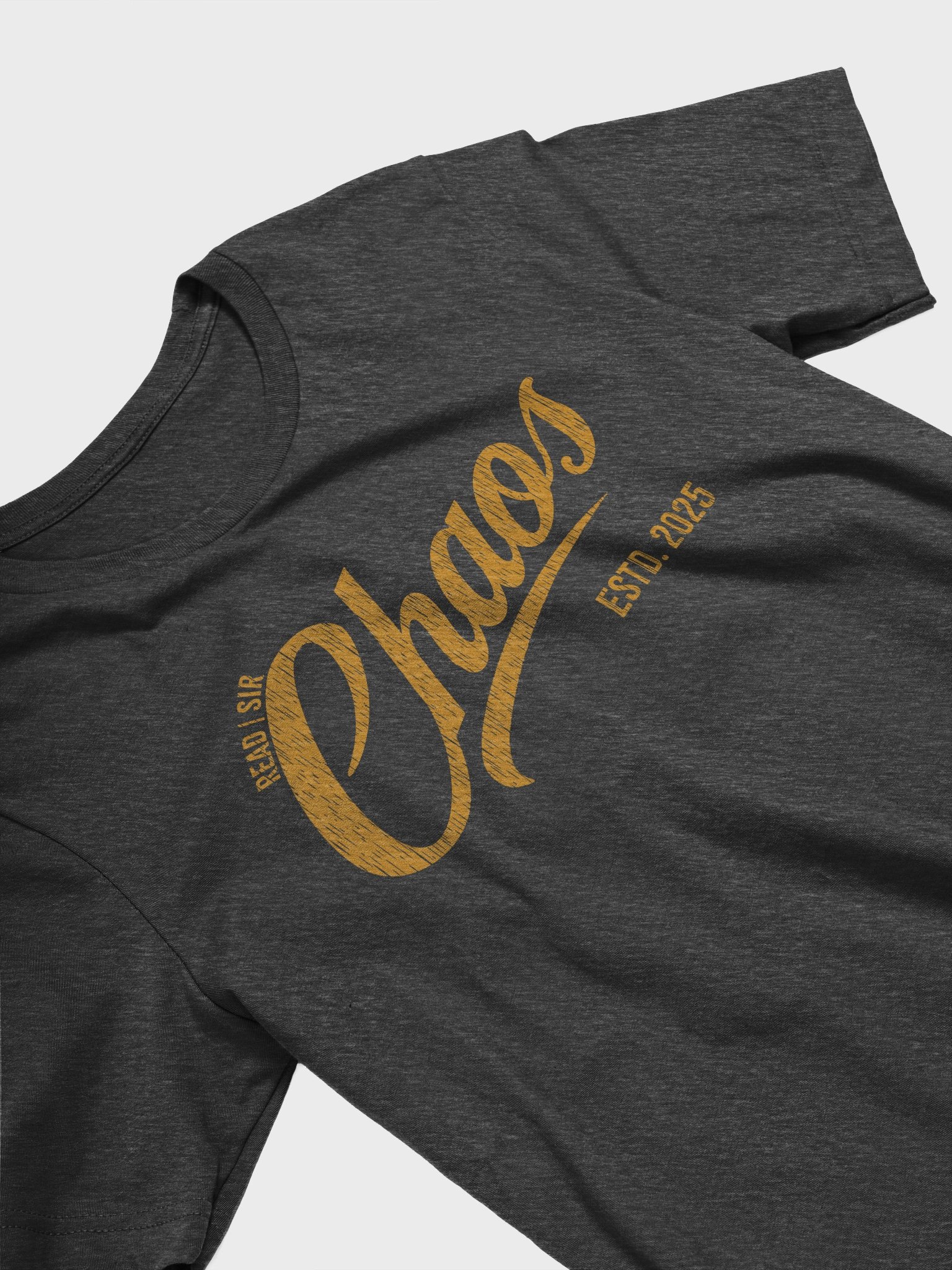 Read | Sir Chaos T-Shirt product image (26)