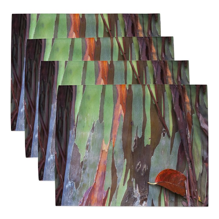 Painted Tree Placemat Set (4) product image (1)