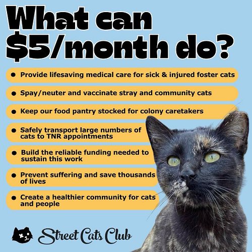 🖤 JUST $5 A MONTH CAN CHANGE A LOT OF LIVES

Five dollars may not feel like much. But when hundreds of people give $5 every m...