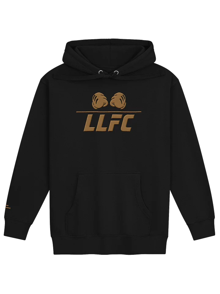 LLFC Champion Hoodie product image (1)