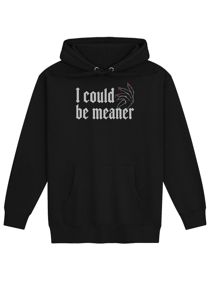 I Could Be Meaner Hoodie product image (4)