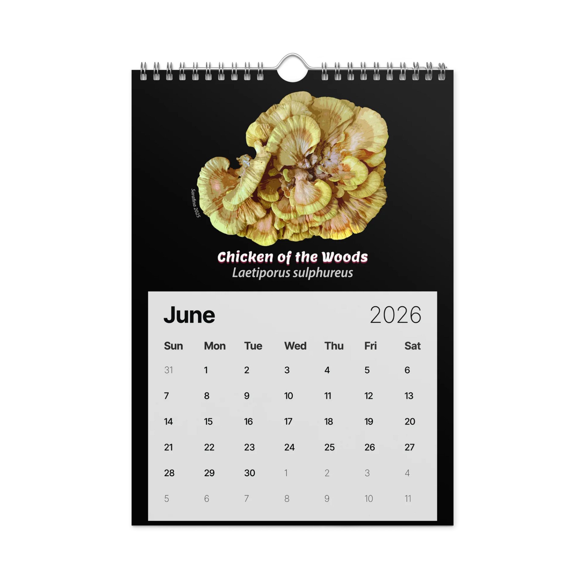 2026 Calendar (A4) product image (7)