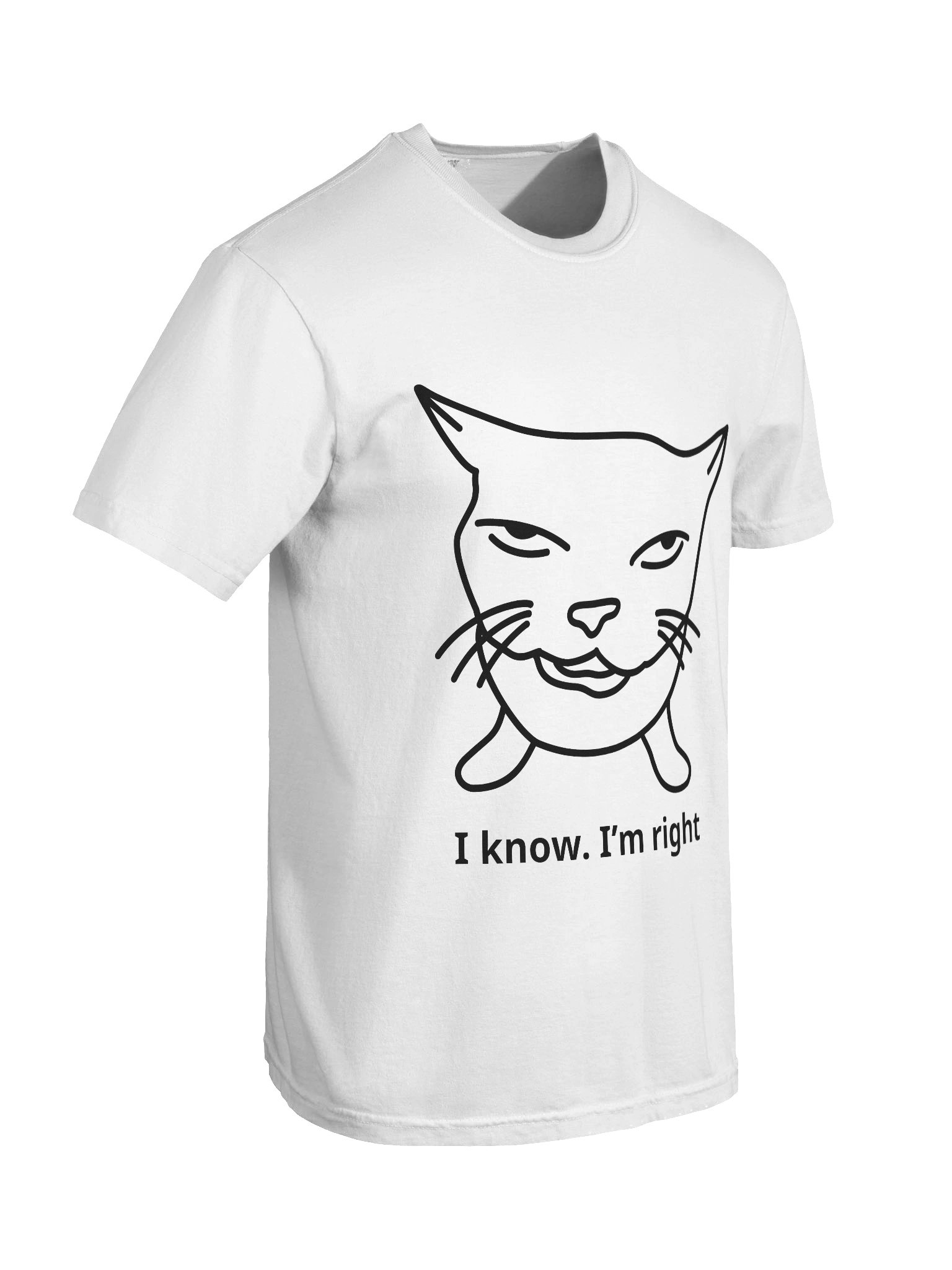 I Know. I’m Right. Shirt – Funny Smug Cat Meme Graphic Tee, Sarcastic Confidence T-Shirt, Unisex Humor Top product image (8)