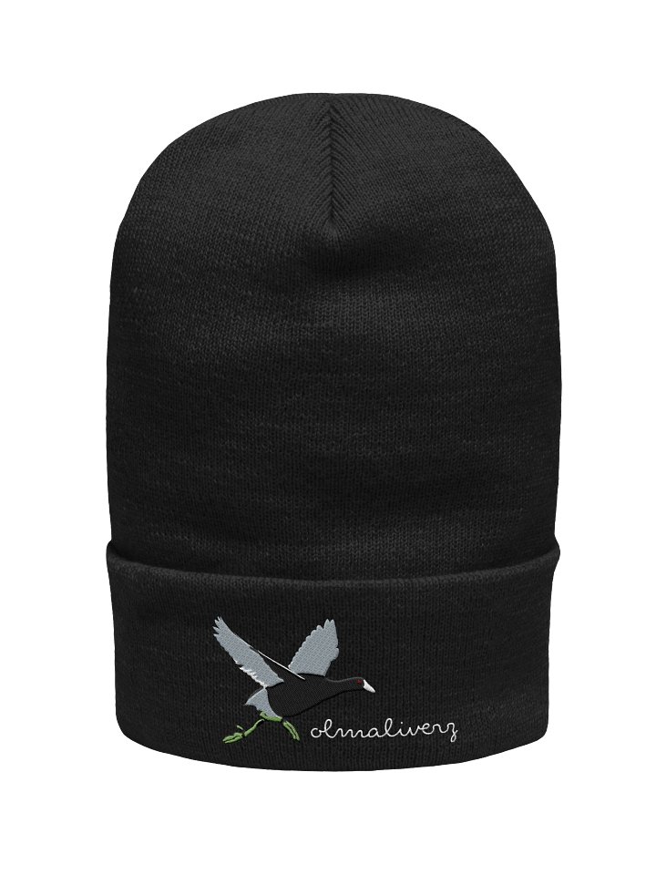 daily bird - coot beanie product image (1)