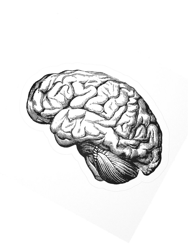 Pegatina Oficial | La Carrera de Psicología en Podcast product image (2)