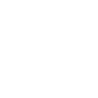 Land of Kittens Shop