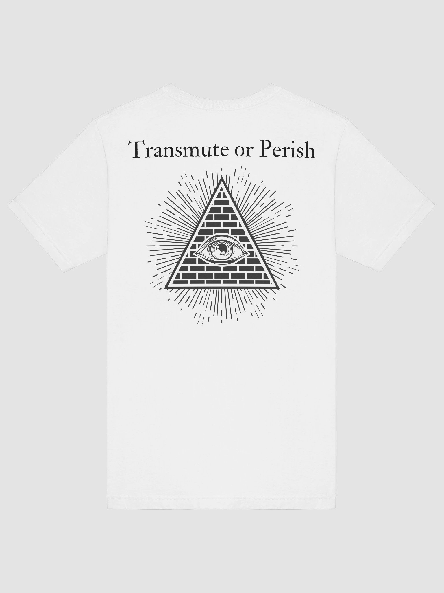 Manifest or Die T-Shirt (Black Print) product image (6)