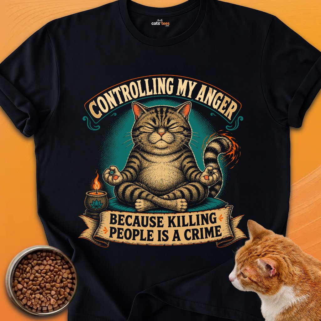 Controlling My Anger product image (1)