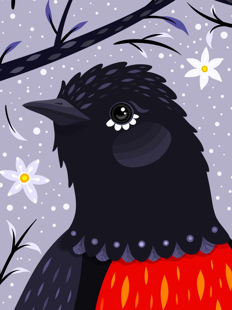 Painted Redstart - Bird Art Print product image (2)