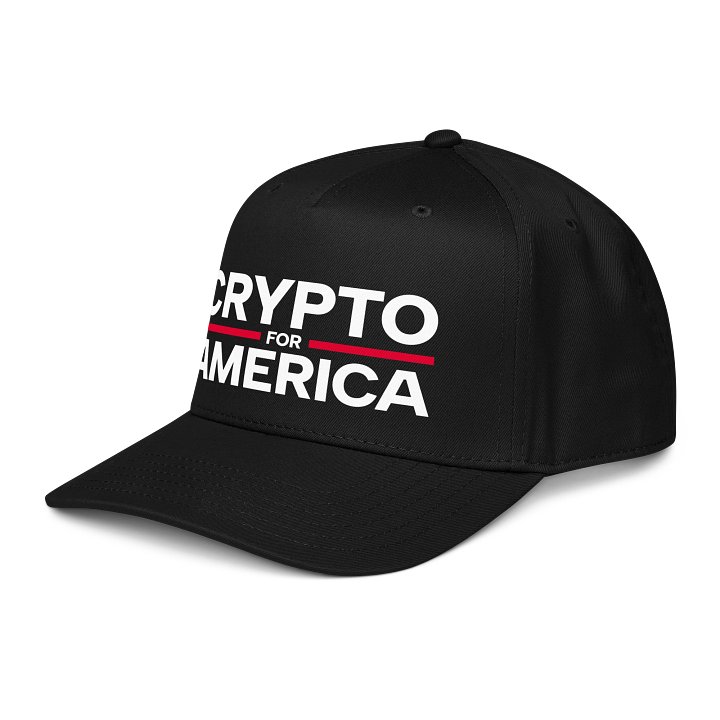 Crypto for America Cap product image (2)