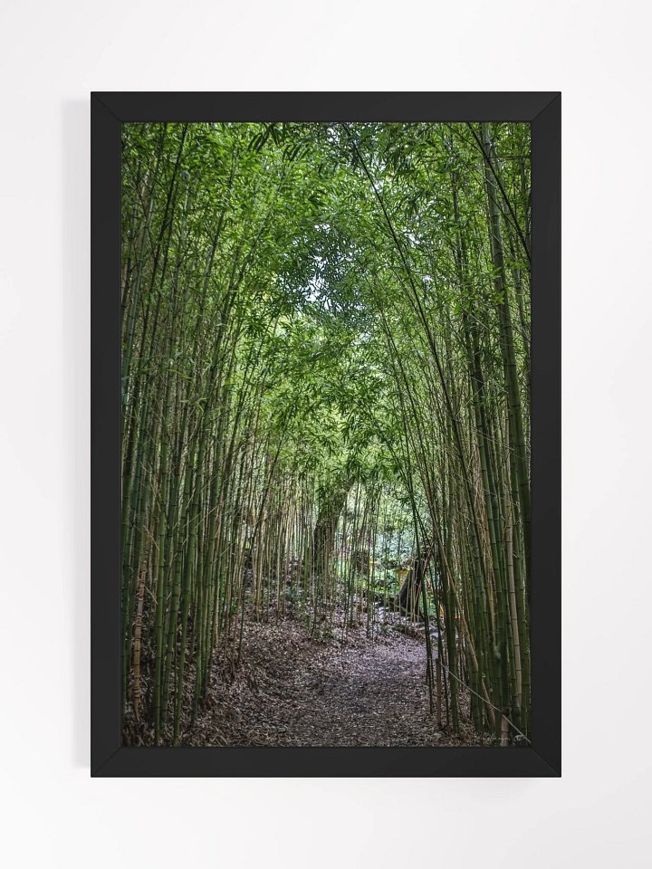 🌿 Print Fine Art – The Path of Stillness product image (1)
