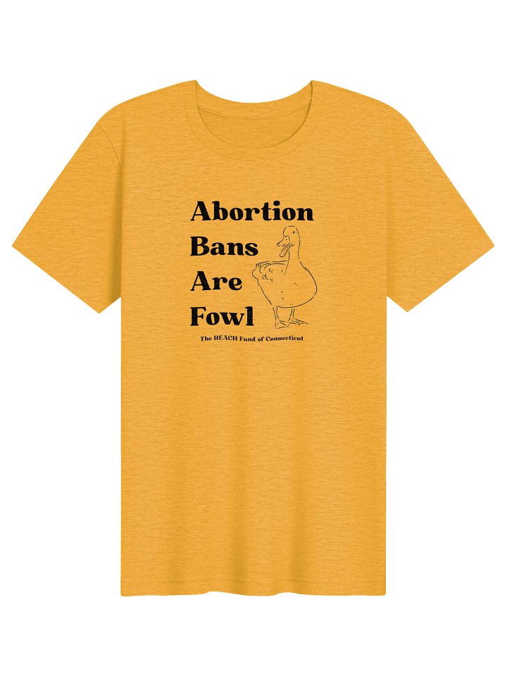 Abortion Bans Are Fowl product image (4)