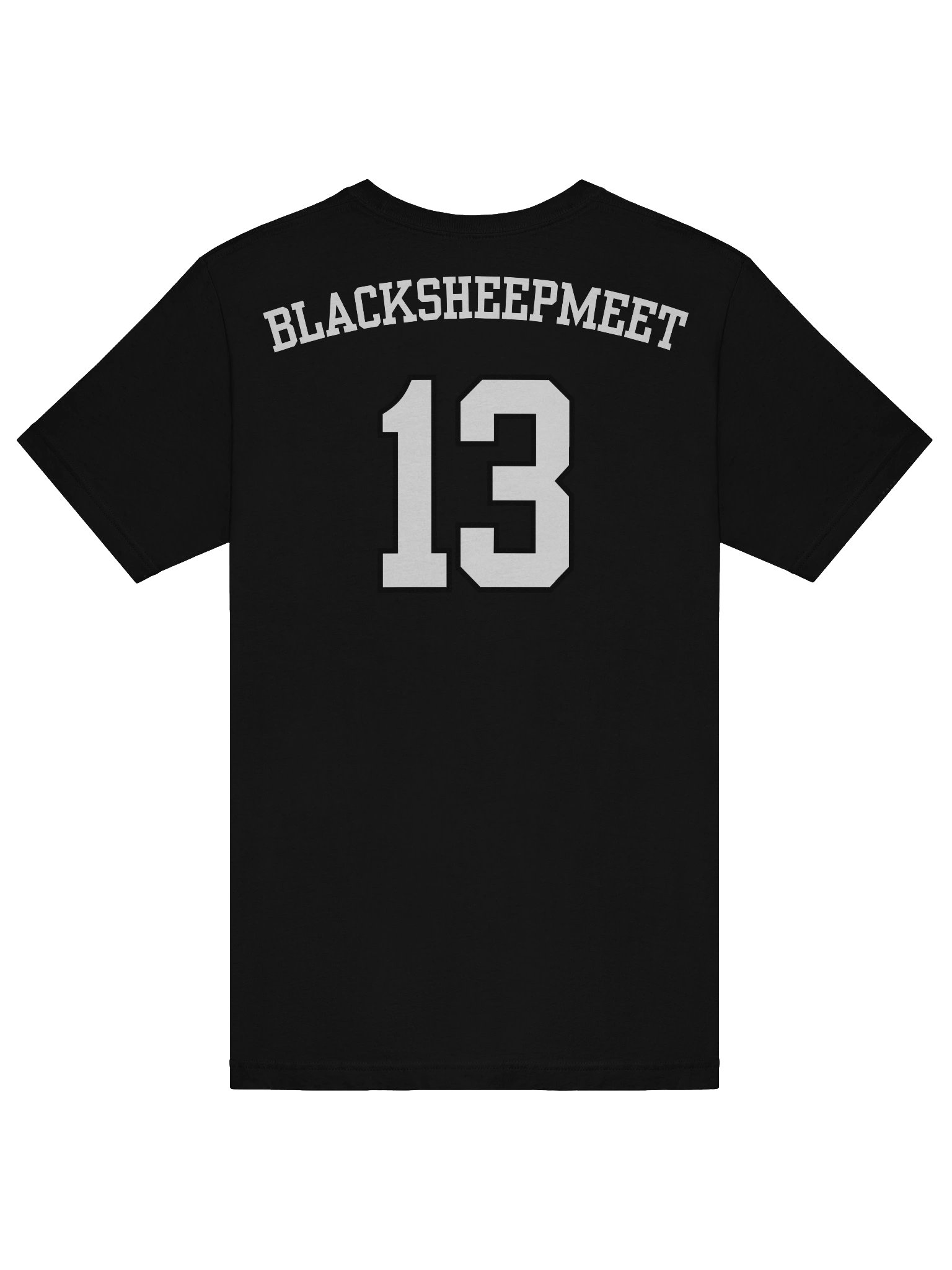 BlackSheepMeet Stream Team Edition product image (6)