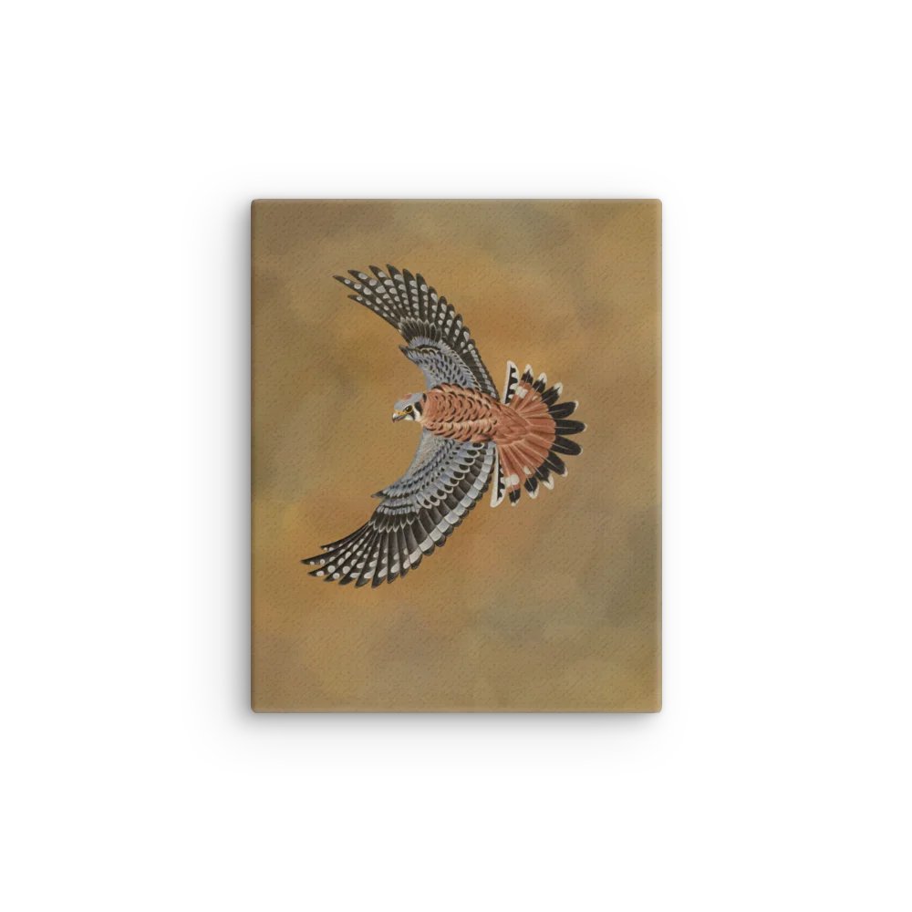 American Kestrel 2019 product image (5)