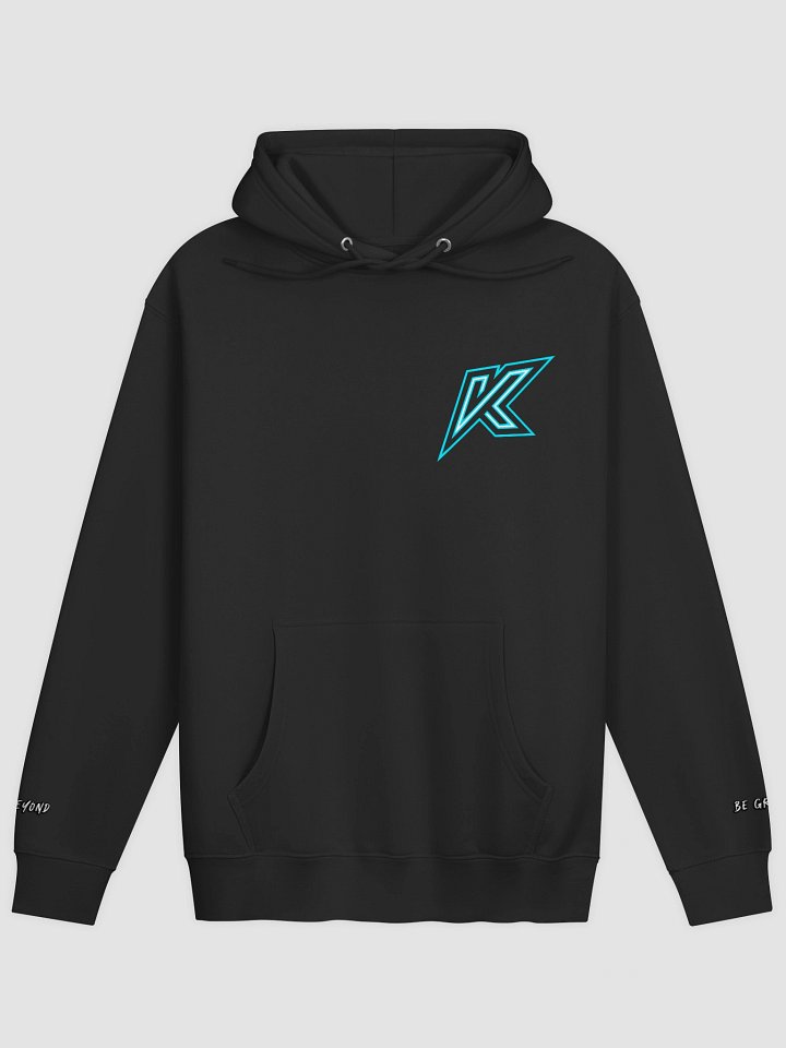 Logo Hoodie - Standard V2 product image (1)