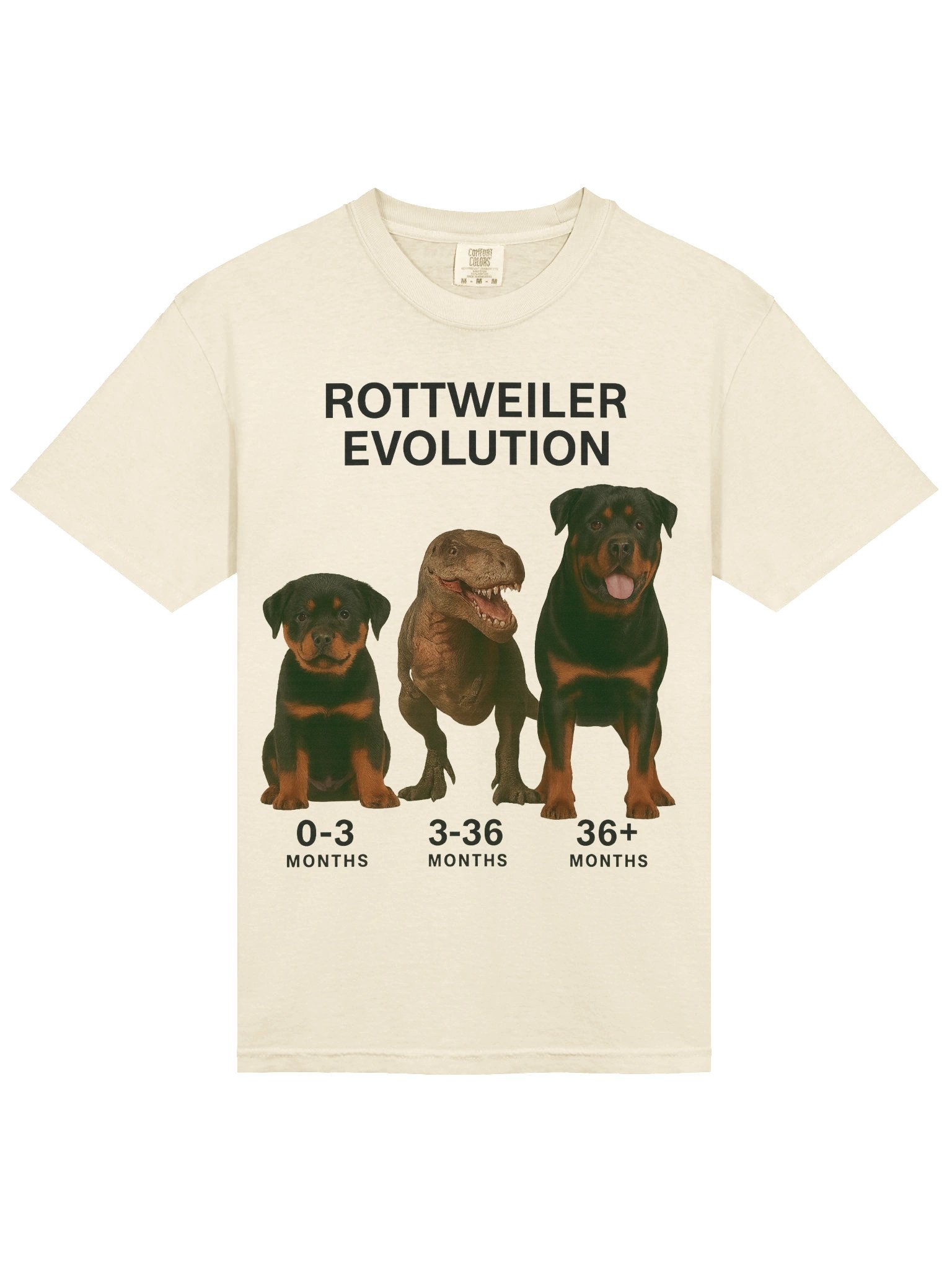 Rottweiler Evolution Tee product image (37)
