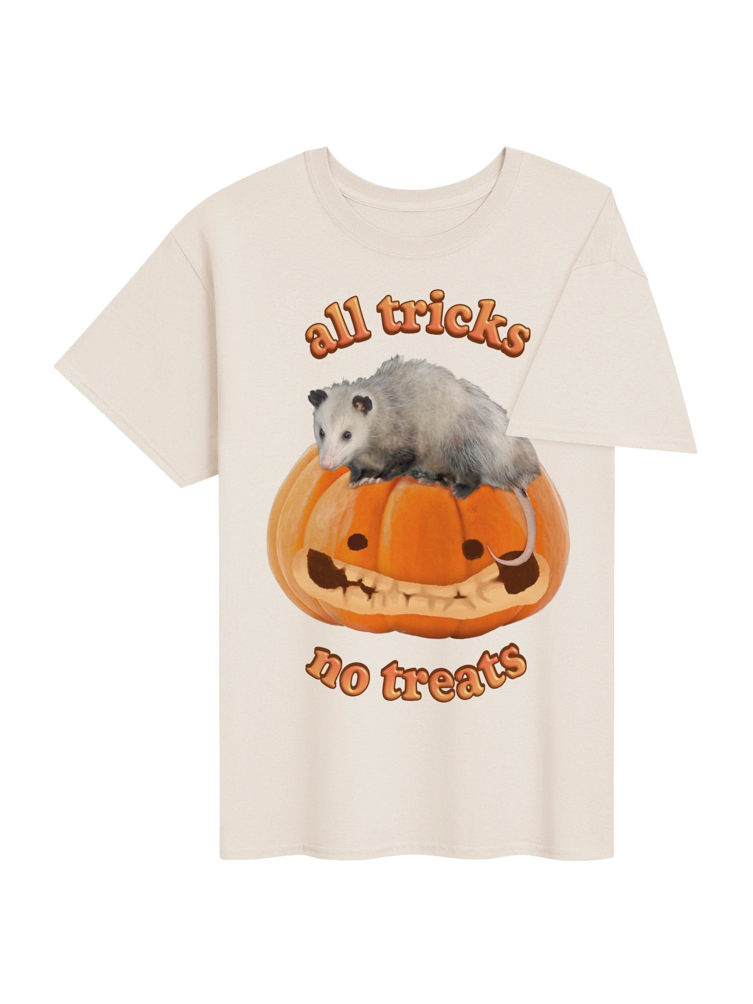 All Tricks No Treats - Autumn Pumpkin Possum T-shirt product image (4)