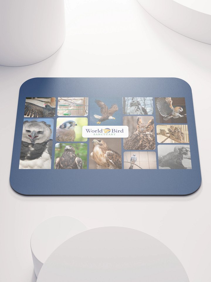 Birds of WBS Mouse Pad product image (1)