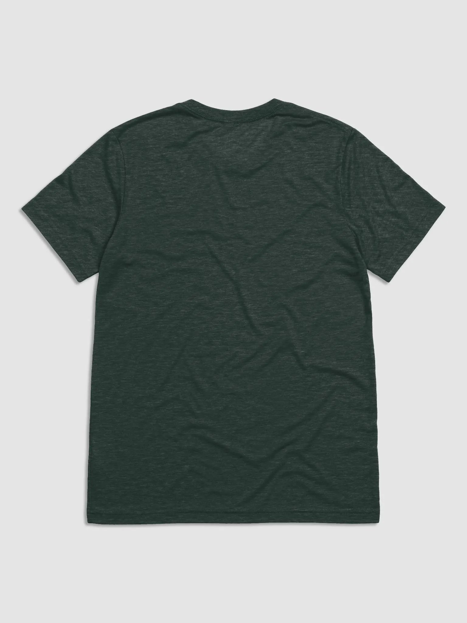 chfpar City / Houston Celebration Tee product image (2)