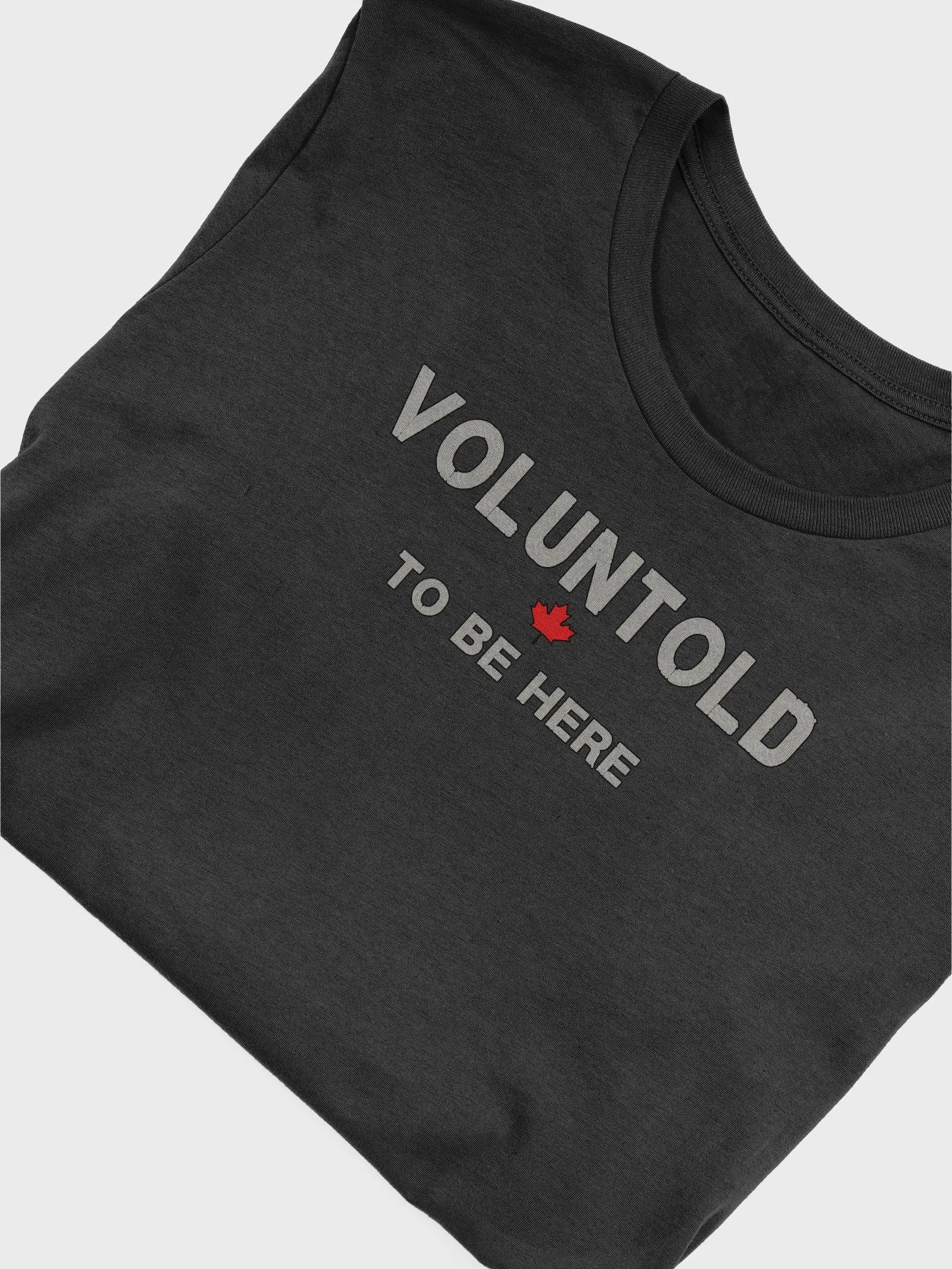 The Voluntold product image (50)