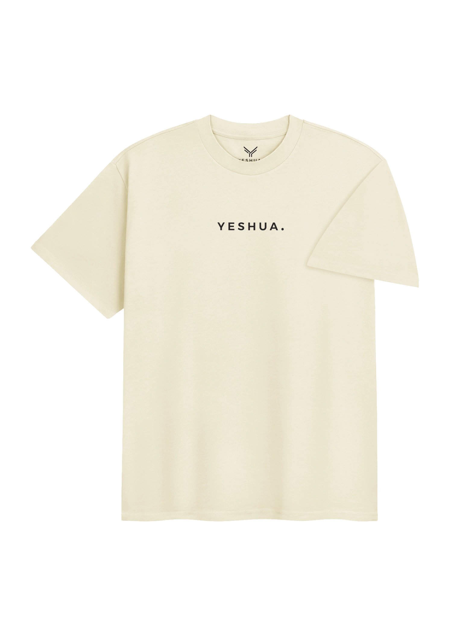YESHUA.- HIS VICTORY OUR PURPOSE- HEAVY SHIRT product image (4)