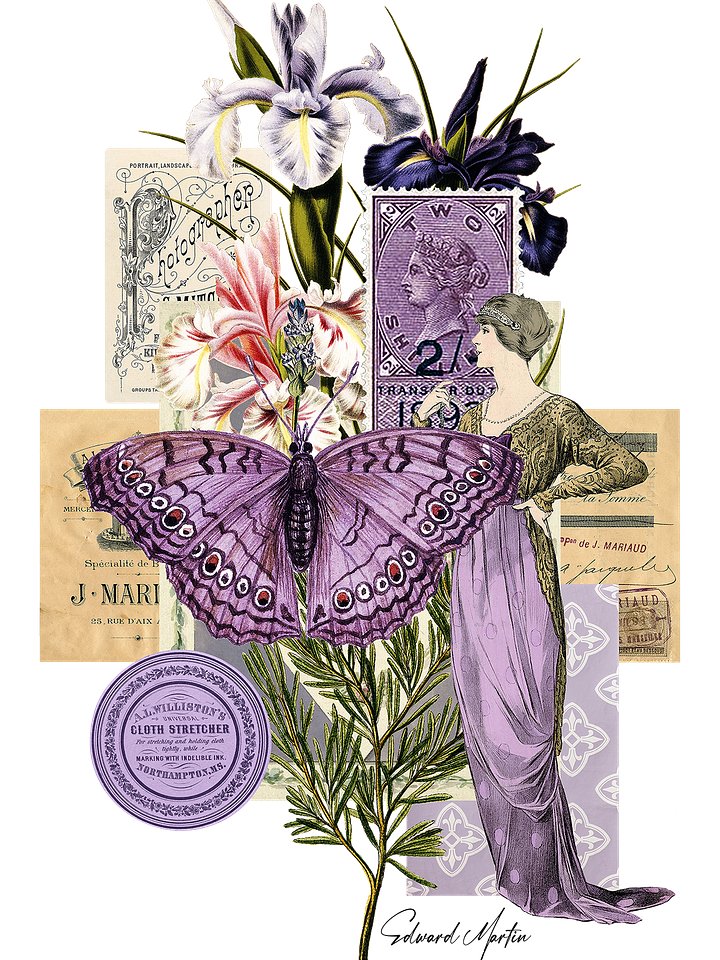 Collage in Lavender by Edward Martin product image (1)